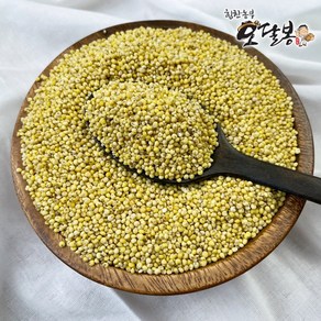 힘찬농부 국산 찰기장 기장쌀, 1개, 500g