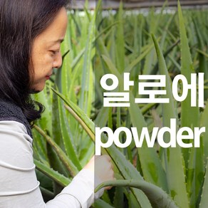 알로에가루 노회 알로에 분말, 100g, 1개, 1개입