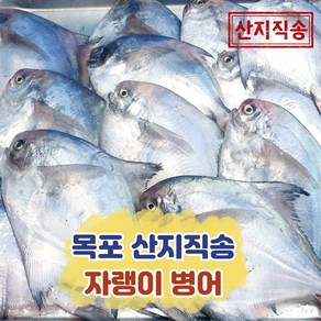 국산 자랭이 병어 목포 산지직송(14~20미), 1개, 2kg(원물)