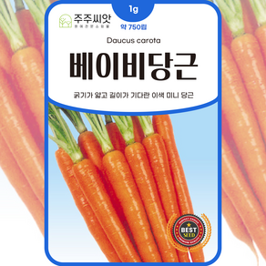 [주주씨앗] 베이비당근씨앗 1g 약 750립 당근씨 미니당근씨앗 종자 씨 샐러드 채소씨앗, 1개