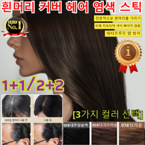 1+1/2+2 방수 땀방지 흰머리 커버 염색 헤어스틱 새까만 새치커버스틱 헤어 쿠션 흑채 새치커버 새치커버 스틱 헤어 새치 머리 부분 커버 스틱/안전 무해, [1+1]내추럴블랙+틴트브라운, [1+1]내추럴블랙+틴트브라운