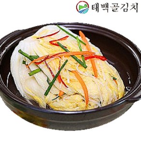 태백골김치 태백 고랭지 포기 배추 백김치, 1개, 5kg