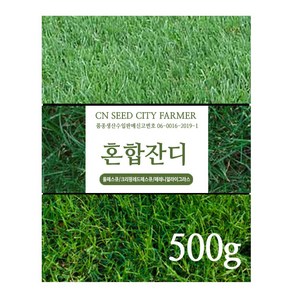 잔디씨앗 서양잔디씨 양잔듸 골프장 정원 공원용 500g, 톨페스큐 500g, 1개