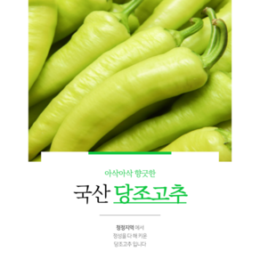 산지직송 당일배송 경상남도 밀양시에서 자란 당일수확 당조고추 당고추 최상품 당조고추 모악산당조고추 당고추 당조고추 고추 풋고추 가지고추야채 미인고추당뇨고추