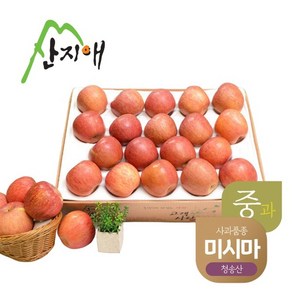 산지애 알뜰 못난이사과(중과) 4.5kg 1box / 청송산 미시마 당도선별, 1개