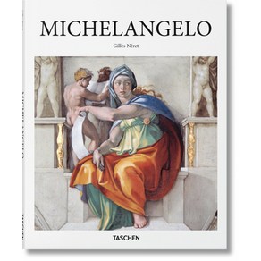 Michelangelo Hardcover