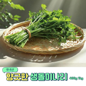 국내산 향긋하고 신선한 돌 미나리, 1개, 400g