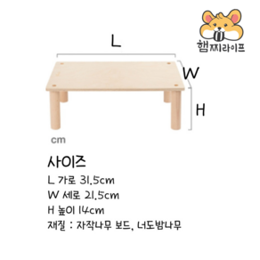 햄스터 용품 사각모래존받침대 나이트엔젤 드워프 골든, 1개