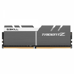 G.SKILL G.SKILL DDR4-3200 CL16 TRIDENT ZSW 패키지 (32GB(16Gx2)), 2개