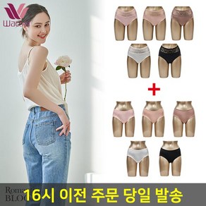 신영와코루 로맨틱블룸 데일리 레이스팬티 패키지 5종+데일리 햄팬티 패키지 5종(R263)