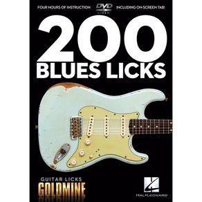 200개의 블루스 기타 릭 레슨 DVD 200 Blues Licks [00320929]