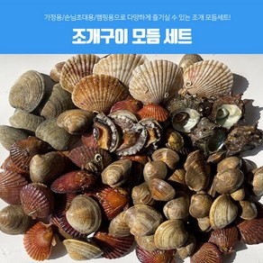 프리미엄 국내산 해산물 가득 조개찜 조개탕 조개구이 모듬조개 조개구이세트 3kg (실속형), 1개