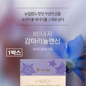 감마리놀렌산 보라지유 보라지오일 지엘에이 GLA 240mg 오메가6 월경전 케어 콜레스테롤 혈행 개선 효능 여성 남자 추천 식약처 식약청 기능성 인증 인정 건강기능식품, 1박스, 60정