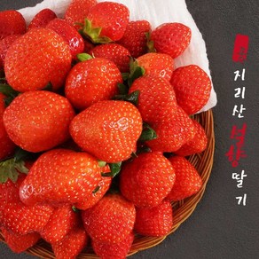 GAP 지리산 산청 설향 딸기 중품 상품 특품 1kg, 상품 1kg (60과 내외) - 가정용, 1개