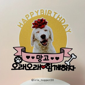 아이리스토퍼 반려동물 생일토퍼 오래오래 함께하자 HBD, 기본토퍼(이름 메모남겨주세요)