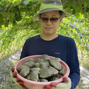 (햇 열매마 하늘마 넝쿨마 우주마 국산마 건강마)