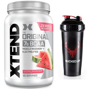 싸이베이션 엑스텐드 오리지널 BCAA 워터멜론 수박맛 90서빙 + Bucked up 쉐이커 700ml 증정, 1개, 1.13kg