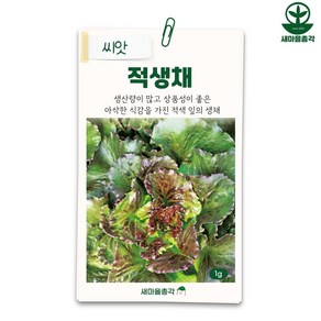 다농 적생채씨앗 1g 상추 아삭이 생채 씨 종자, 1개