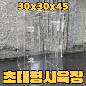 크레용샵 도마뱀 사육장 초대형 30 30 45