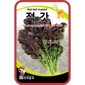 적갓 씨앗 Leaf Mustad seed 갓 김장 잎 채소 종자, 30g, 1개