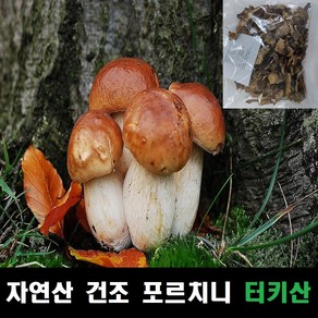 포르치니 자연산 건조 터키산 100g