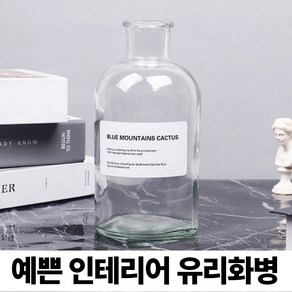 파울로씨티 예쁜 인테리어 유리화병 꽃병, 2개