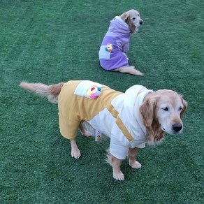 [퍼피니스](3XL-8XL) 중 대형견용 뽀글이 털 안감 꽃님이 올인원, 바이올렛, 1개