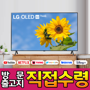 LG전자 65인치 (165cm) 올레드 UHD 4K 스마트 웹OS 돌비 애트모스 TV OLED65A2, 고객직접설치, 스탠드형