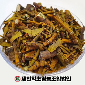 국산 곡기생 겨우살이 500g 제천약초영농조합 제천약초시장