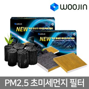 우진필터 PM2.5 초미세먼지 활성탄 H11 자동차 에어컨필터, 기아 로체/이노베이션08년후 YCH20, 1개