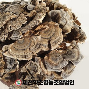 국산 운지버섯 500g 제천약초영농조합, 1개