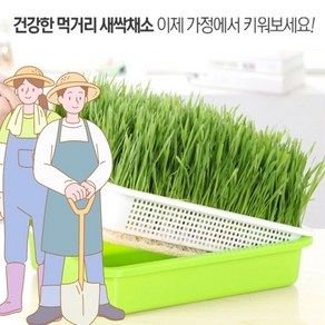 새싹 보리 재배기 고급형 1세트와 친환경 씨앗 500g