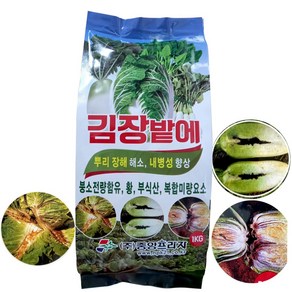 김장채소 전용 고형 입제 복합비료 1kg 모종 무 배추 밭 시금치 갓 유황 영양제 미량요소 붕사 붕소 토양소독 기비제 추비 가을배추 거름 텃밭 재배 주말농장 +계량수저_식물푯말세트