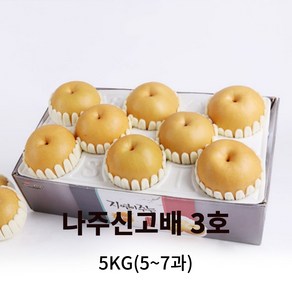 나주 배 햇 꿀 신고배 선물세트 가정용실속 중대과, 1세트, 배3호(5kg 5~7과)