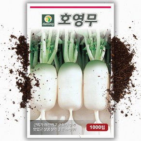 호영무씨앗(1000립)여름무 동치미 무, 1개