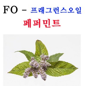 코리아씨밀락 프래그런스오일 페퍼민트향, 프래그런스오일 페퍼민트향 10ml, 1개