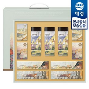 애경 [애경 선물세트] 아트 센스 에디션 1호 x1개, 1개