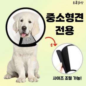 초록일상 소형견 중형견 강아지 반 투명 초경량 플라스틱 넥카라, 1개