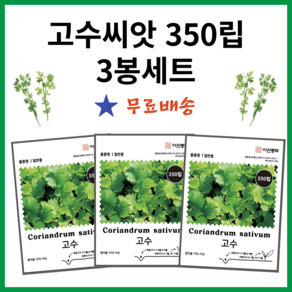 ) 고수씨앗 350립 3봉세트