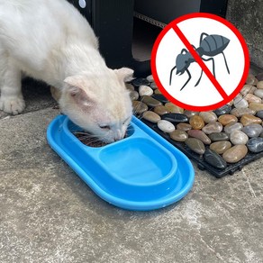 길냥이 길고양이 밥그릇 강아지 개미방지 개미퇴치 민달팽이