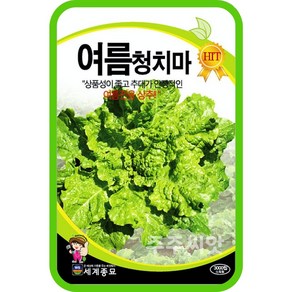 여름청치마 3000립 상추씨앗 종자 여름상추 쌈채소 텃밭만들기