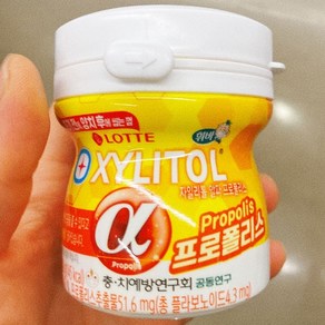 롯데 자일리톨 알파 프로폴리스 용기, 86g, 1개