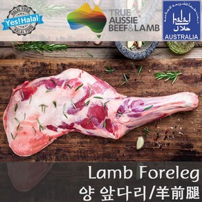 Yes!Global 양고기 앞다리 양앞다리 Halal Lamb Foeleg (오이스터컷 Oyste cut 할랄), 1개, 1.9kg~1.95kg