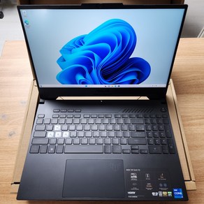 ASUS 게이밍노트북 FX517ZM 램32GB RTX3060 게임 그래픽작업, WIN11 Po, 32GB, 1TB, 블랙