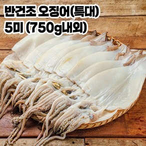 포항 구룡포 반건조 오징어 5미 특대 (750g 내외), 1개, 5미 (750g내외)