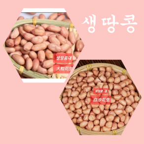 [신중국식품]생땅콩 중국산생땅콩큰알(대) 성화성 생땅콩중(바이싸), 생땅콩(중)500g, 1개