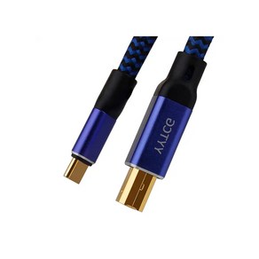 YYTCG 6N OCC 24K 도금 하이파이 HIFI G2 오디오인터페이스 USB A-B C-B A-C C-C 케이블, USB C-B 1.5M