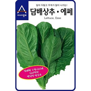 팜스마켓 상추씨앗 담배상추 3000립 상추종자, 1개