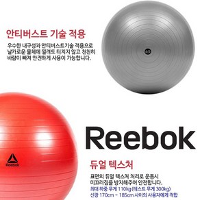 (정품)리복 짐볼-홈트 짐볼-Reebok 트레이닝 짐볼(12016) 65cm, 그레이