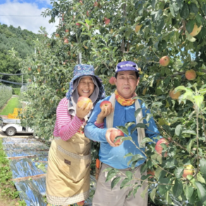 산지직송 고산지 함양 부사 햇 사과, 1박스, 5kg, 5kg 소과(21-25과)